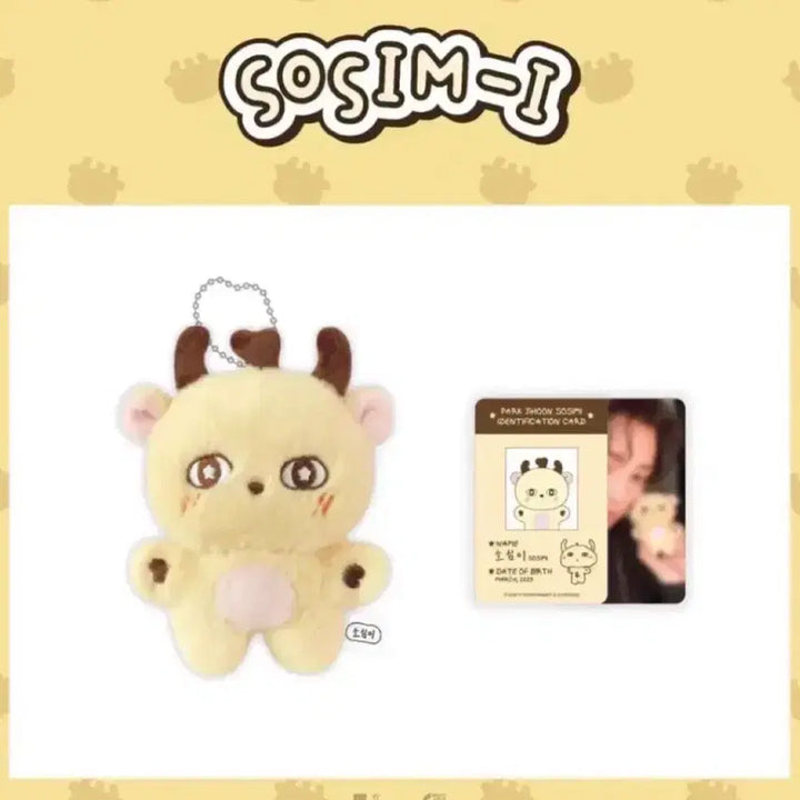 [BUNJANG] Park Jihoon Unsealed &