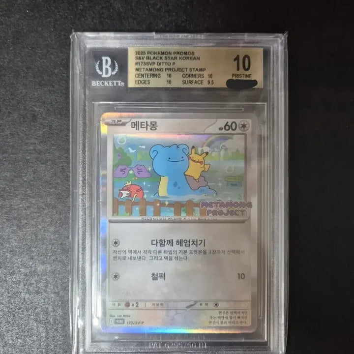 [SOLD OUT] 포켓몬카드 메타몽 bgs10
