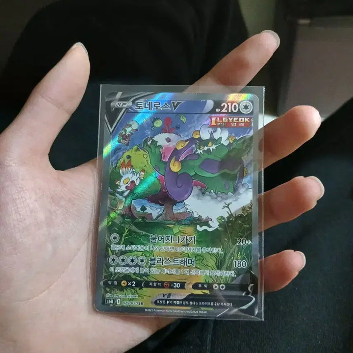 [SOLD OUT] 날뛰는우레 SAR / 토네로스 SR ( 특별한 일러스트, ar ) 일괄