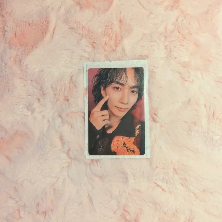 [BUNJANG] Seventeen Jeonghan Photocard / 세븐틴 정한 포카  판매합니당