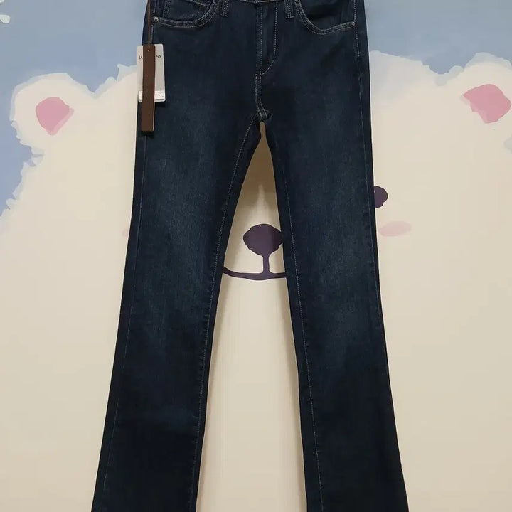 [BUNJANG] James Jeans Slim Stretch Bootcut Jeans / (25) 제임스진 스판 슬림 부츠컷 청바지