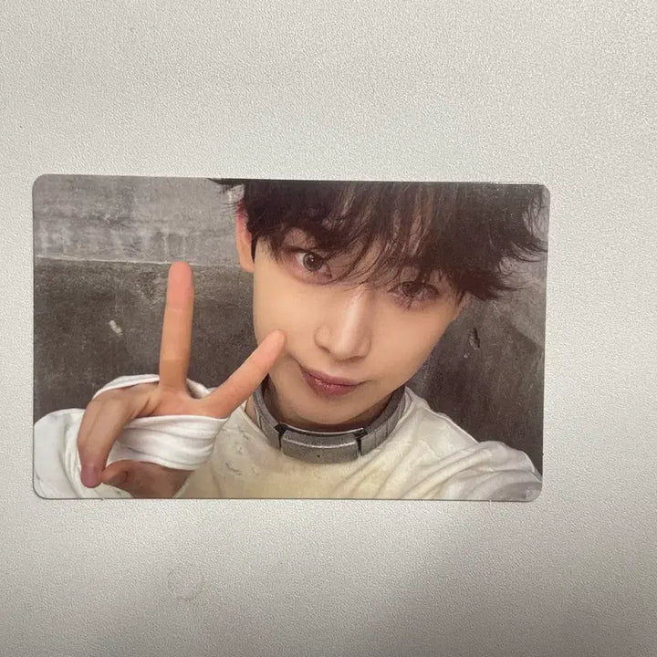 [BUNJANG] ENHYPEN Sunoo Photocard / 엔하이픈 선우 포카 양도