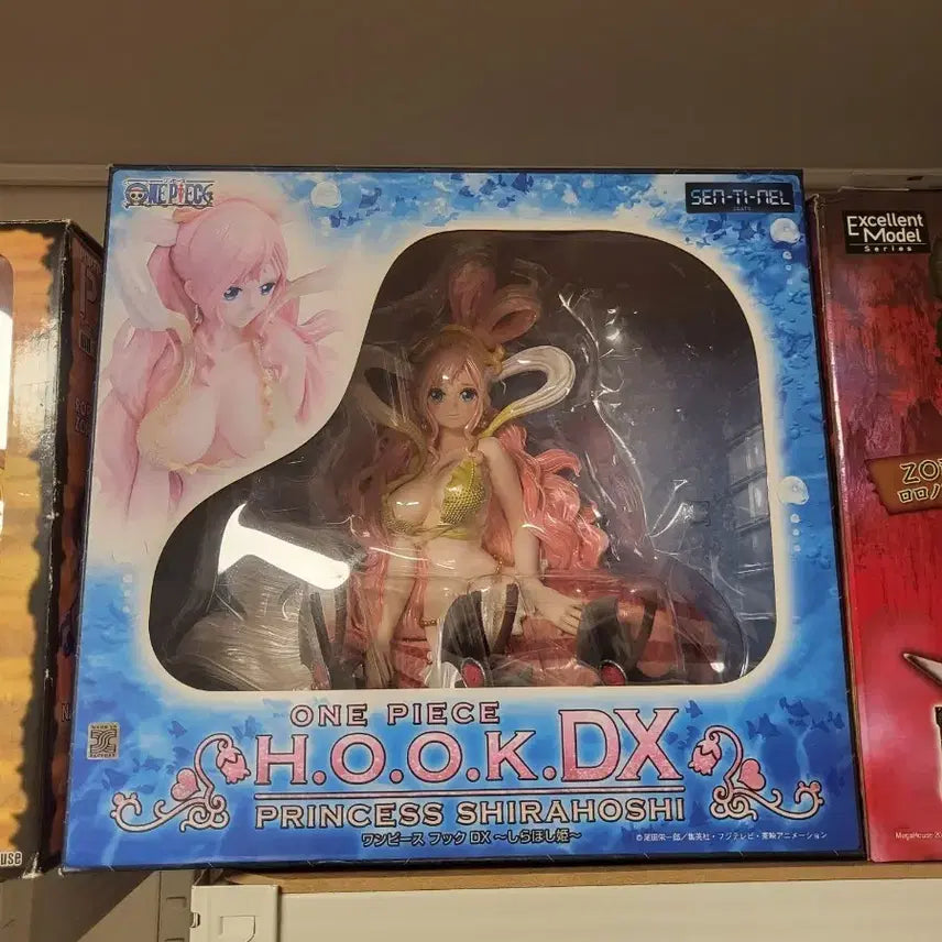[SOLD OUT] HOOK시라호시
