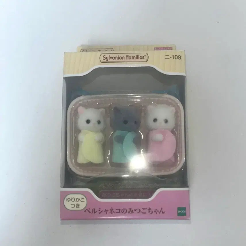 [SOLD OUT] 실바니안 아기 고양이 세쌍둥이 페르시안(급처)