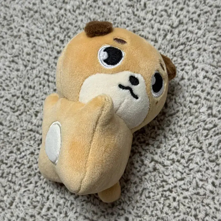 [BUNJANG] Day6 Denimalz Don Hand Warmer Doll / 데이식스 데니멀즈 손난로 인형 돈