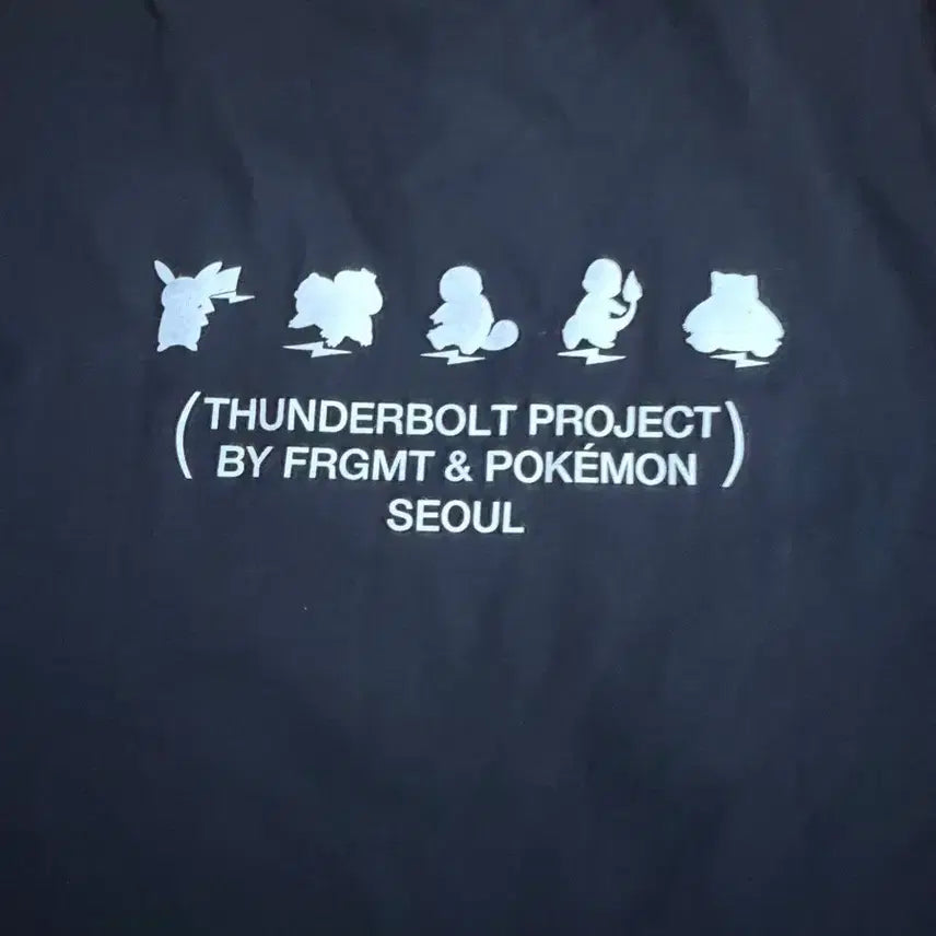 [BUNJANG] Fragment x Helinox x Pokemon Collaboration Short Sleeve T-shirt / 포켓몬x프라그먼트x헬리녹스