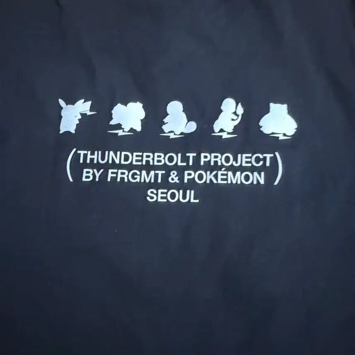[BUNJANG] Fragment x Helinox x Pokemon Collaboration Short Sleeve T-shirt / 포켓몬x프라그먼트x헬리녹스