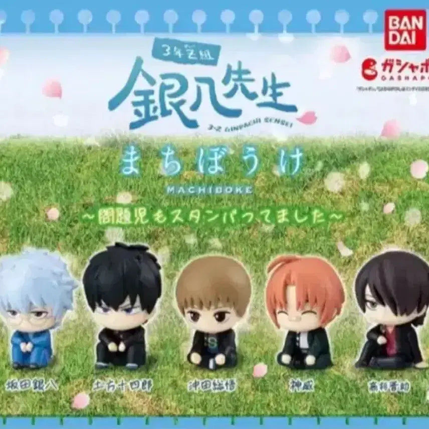 [BUNJANG] Samzet Marchi Bokeh Hijikata Unsealed / 삼젯 마치보케 히지카타 미개봉