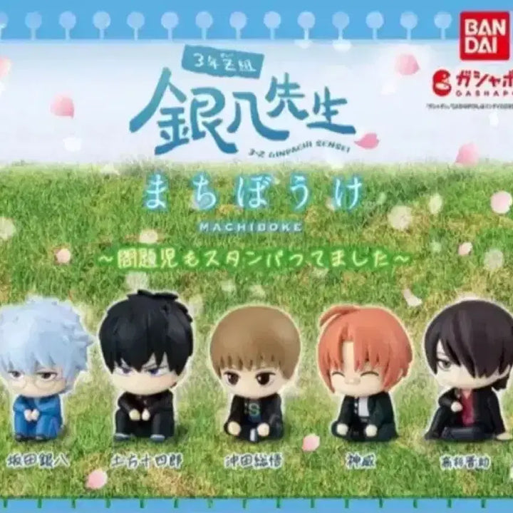 [BUNJANG] Samzet Marchi Bokeh Hijikata Unsealed / 삼젯 마치보케 히지카타 미개봉