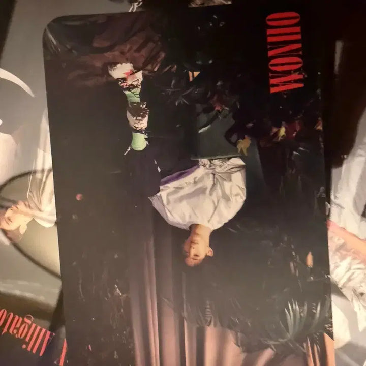 [BUNJANG] Ellege Japan Wonho Photocard / 엘게재팬 원호포카