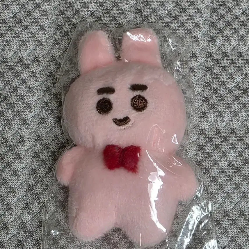 [BUNJANG] Baekhyun (EXO) Doll - Sealed / 쪼며니 미개봉 양도합니다