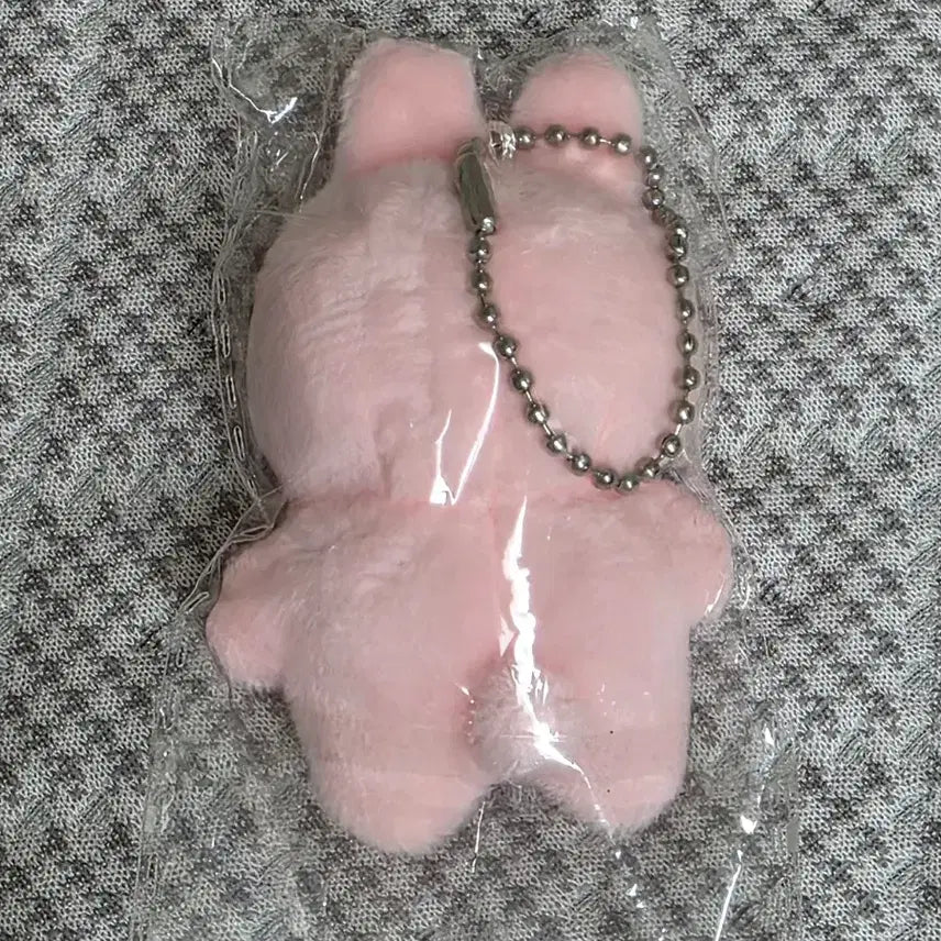 [BUNJANG] Baekhyun (EXO) Doll - Sealed / 쪼며니 미개봉 양도합니다