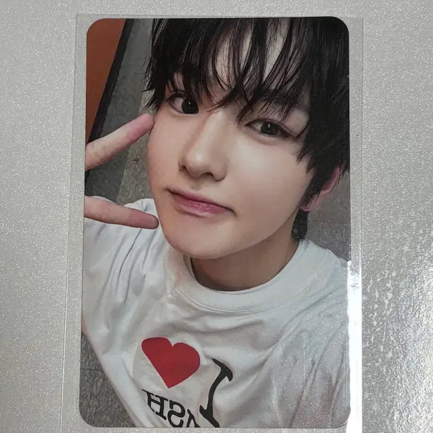 [BUNJANG] NCT WISH Sakuya Steady T-shirt Photocard / 엔시티위시 스테디 티셔츠 엠디 포카 사쿠야