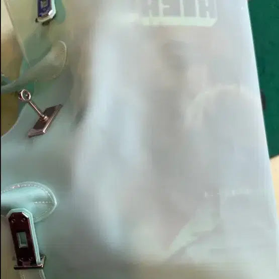 [BUNJANG] Mint Jelly Birkin Bag / 연민트 젤리버킨