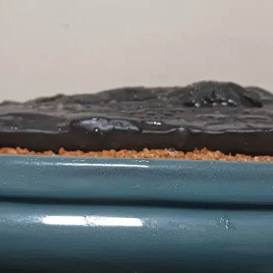 [BUNJANG] Namhangang River Scholar Stone (Low Rocky Shore Style) / 수석(남한강/낮은 갯바위경)