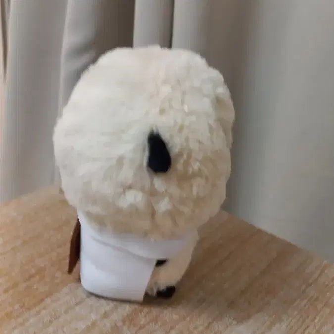 [SOLD OUT] 먼작귀  랏코  포테타마 누이 인형