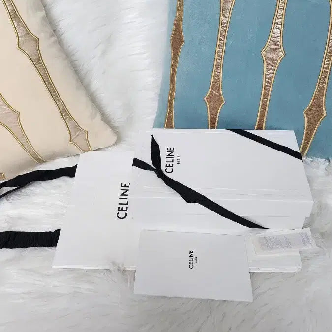 [BUNJANG] Celine Phone Pouch and Box Set / 5-3)셀린느WOC 체인미니백박스 폰파우치박스체인지갑박스