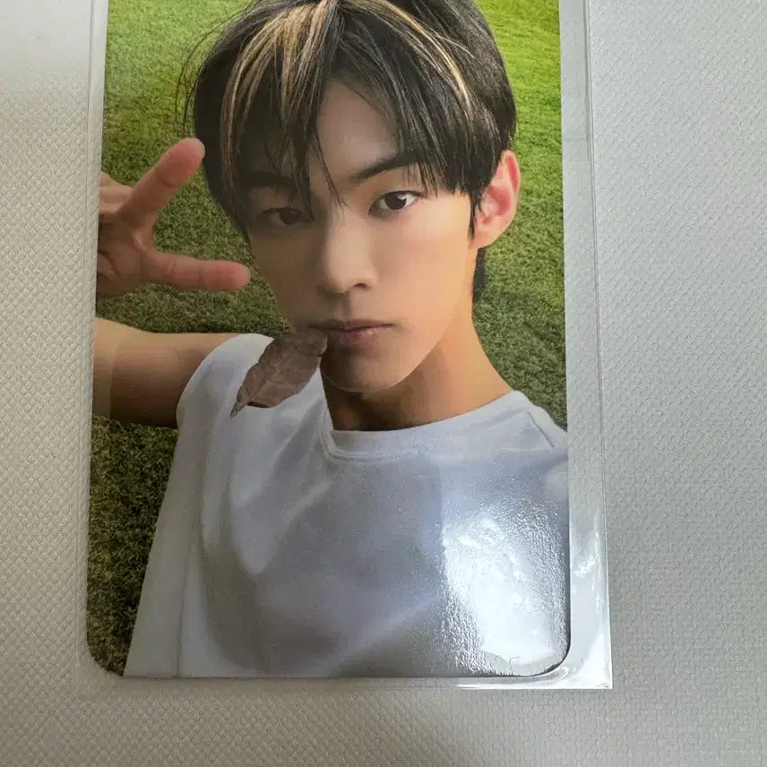 [SOLD OUT] 투어스 도훈 애플뮤직 럭드 특전 포카 미공포
