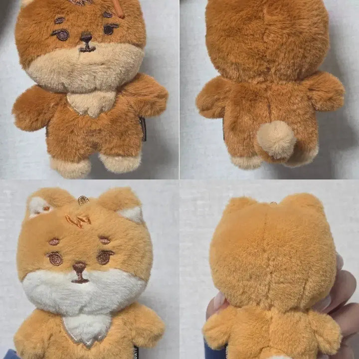 [SOLD OUT] 쁘멀 &amp; 태닝 케 일괄