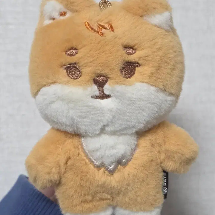 [SOLD OUT] 쁘멀 &amp; 태닝 케 일괄