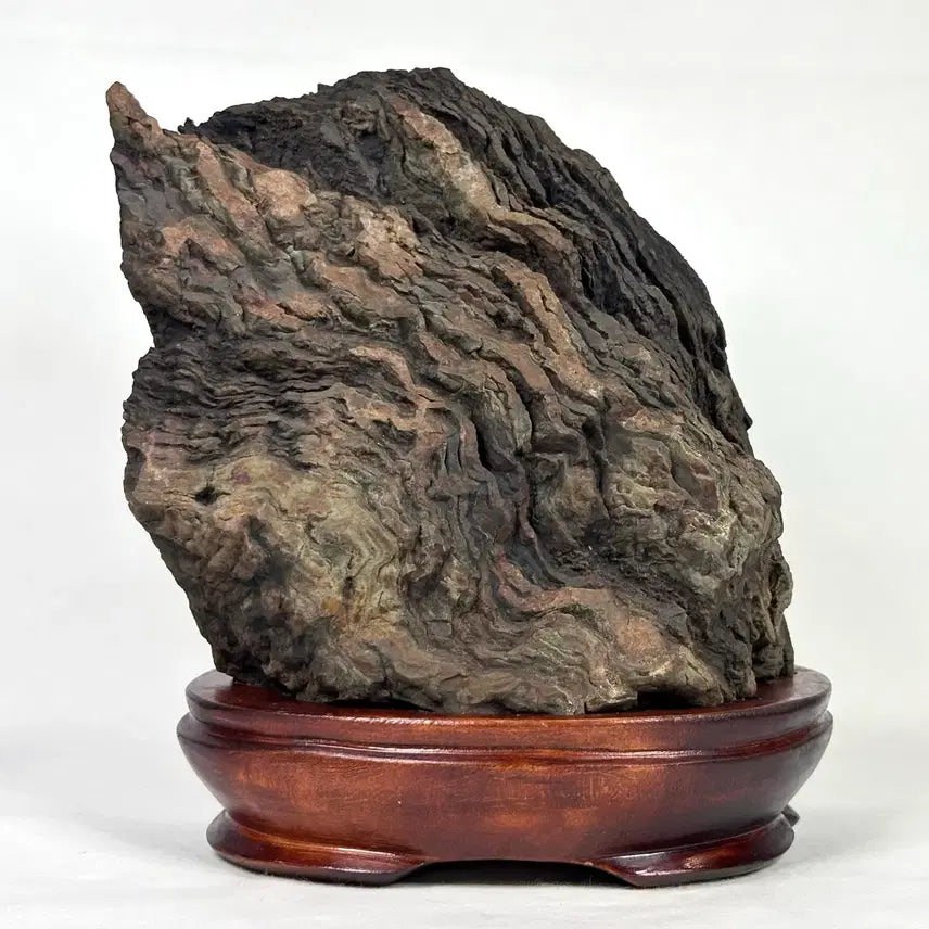 [BUNJANG] Deoksan Choco Stone Scholar Stone (20 x 21.5 x 12cm) / 주름이 살아있는 덕산 초코석 수석