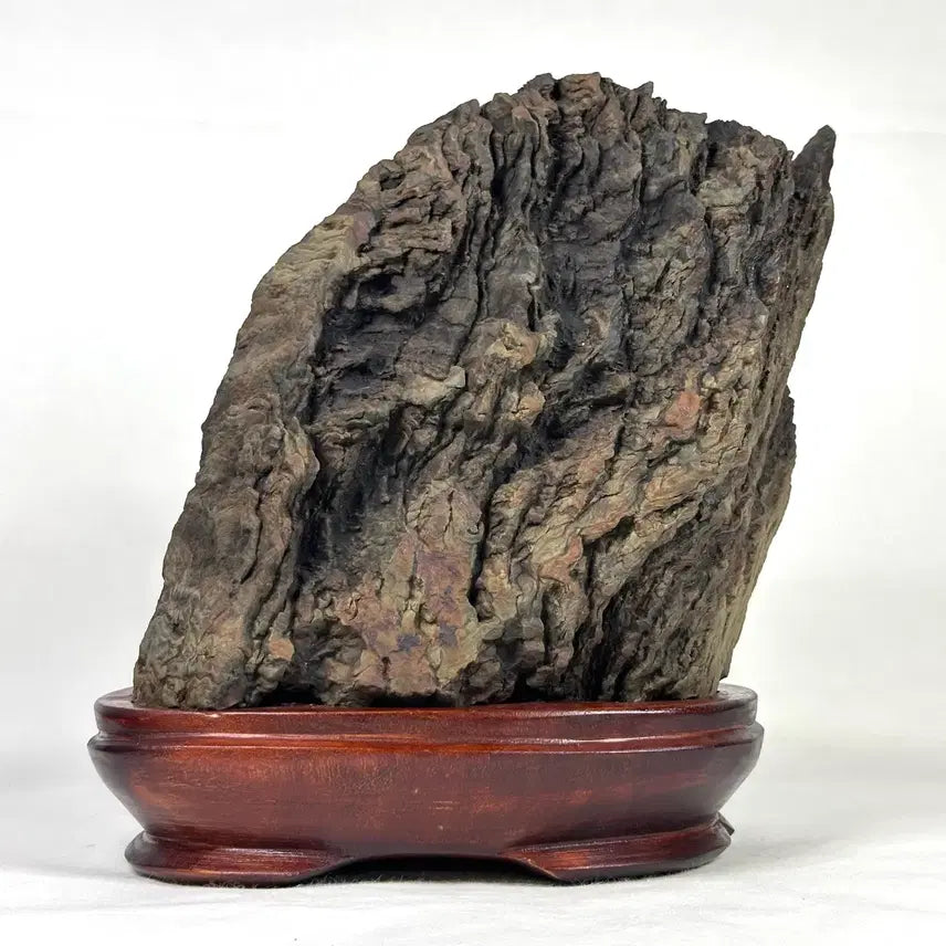 [BUNJANG] Deoksan Choco Stone Scholar Stone (20 x 21.5 x 12cm) / 주름이 살아있는 덕산 초코석 수석
