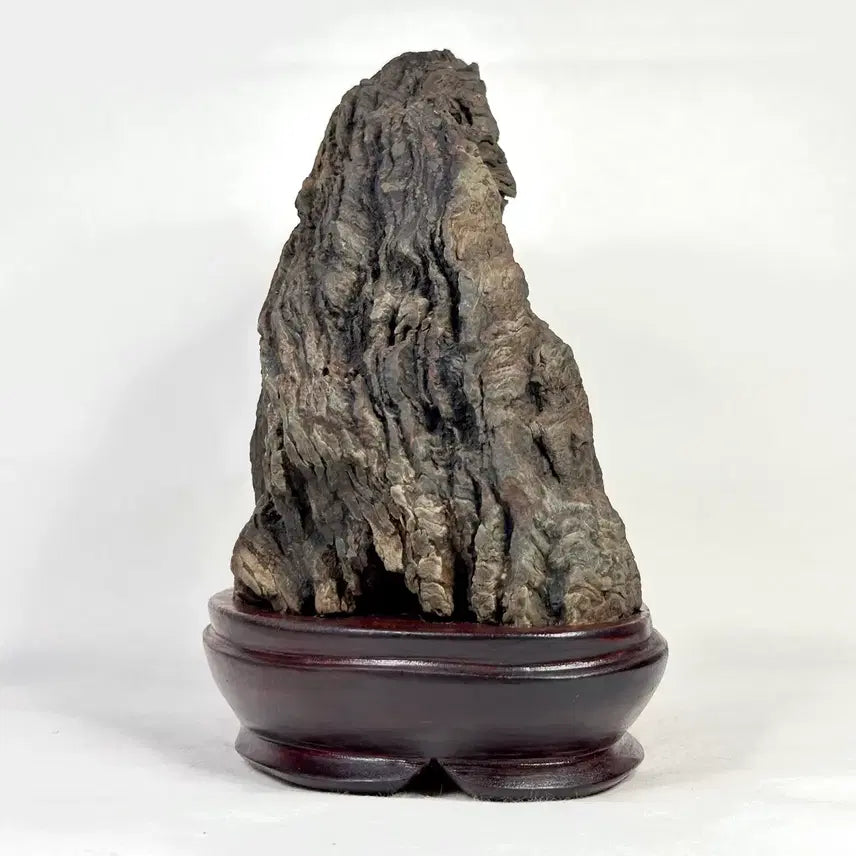 [BUNJANG] Deoksan Choco Stone Scholar Stone (20 x 21.5 x 12cm) / 주름이 살아있는 덕산 초코석 수석