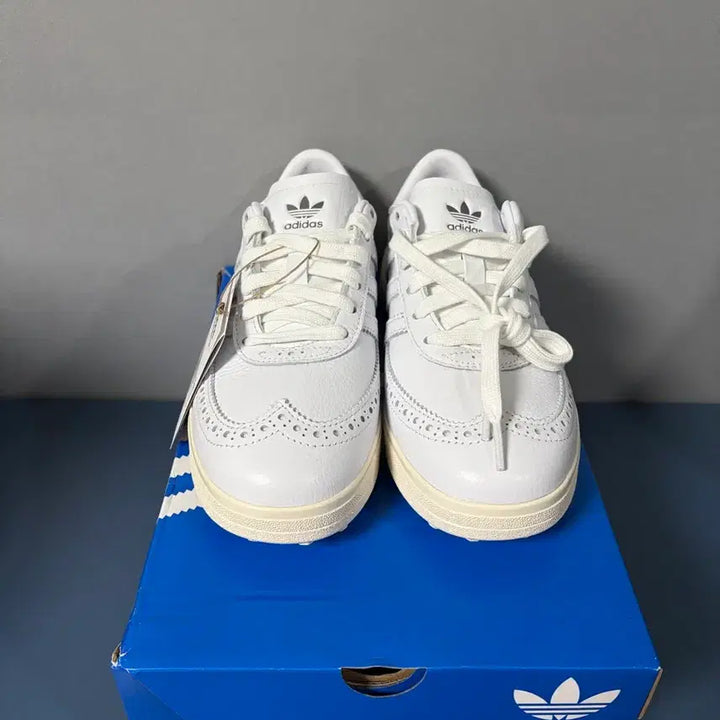 [BUNJANG] Adidas Gourt Cup Spikeless Golf Shoes 220 / [새상품]아디다스 코스컵 스파이크리스 골프화 220