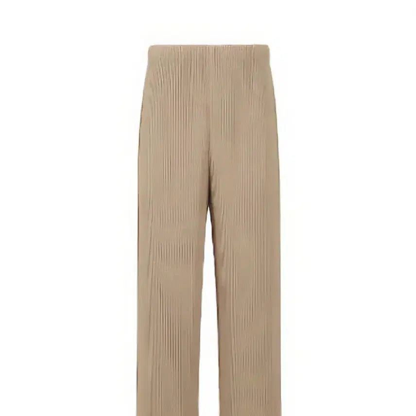 [BUNJANG] Homme Plissé JF114 Wide Pants - Grain Beige / 옴므플리세 24년 9월 먼슬리 jf114 루즈핏 그레인 베이지