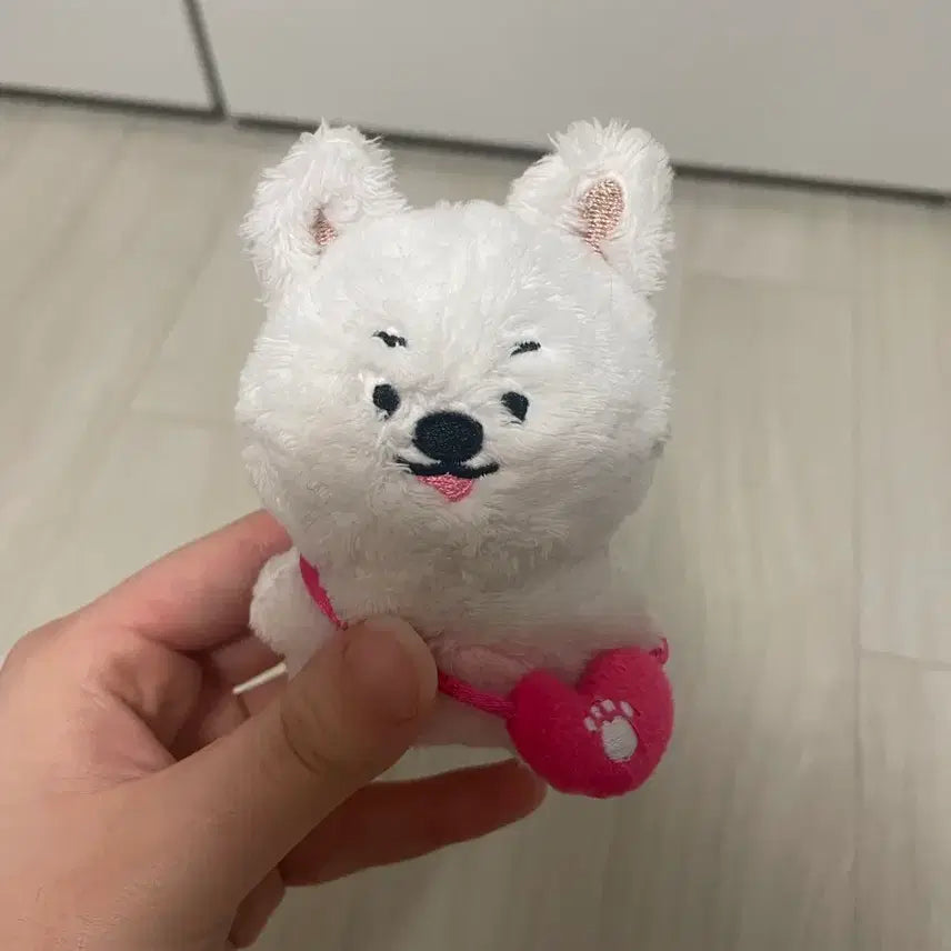 [BUNJANG] The Boyz Eric Mongjae Doll / *탈덕처분!!** 더보이즈 에릭 멍재 인형 원가이하 양도