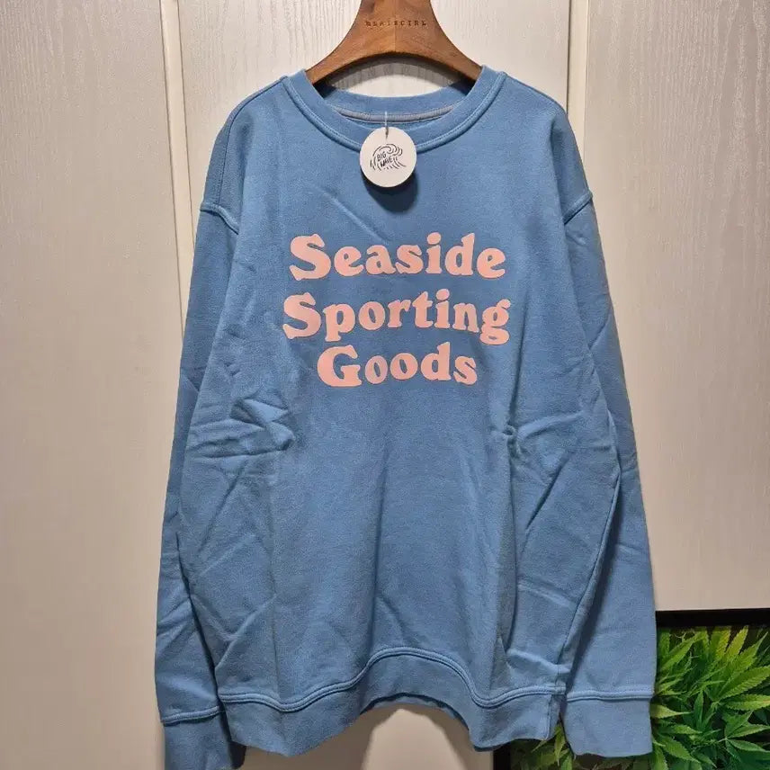 [BUNJANG] Big Wave Sky Blue Sweatshirt / (세일)(새상품)빅웨이브 브랜드 맨투맨 하늘색
