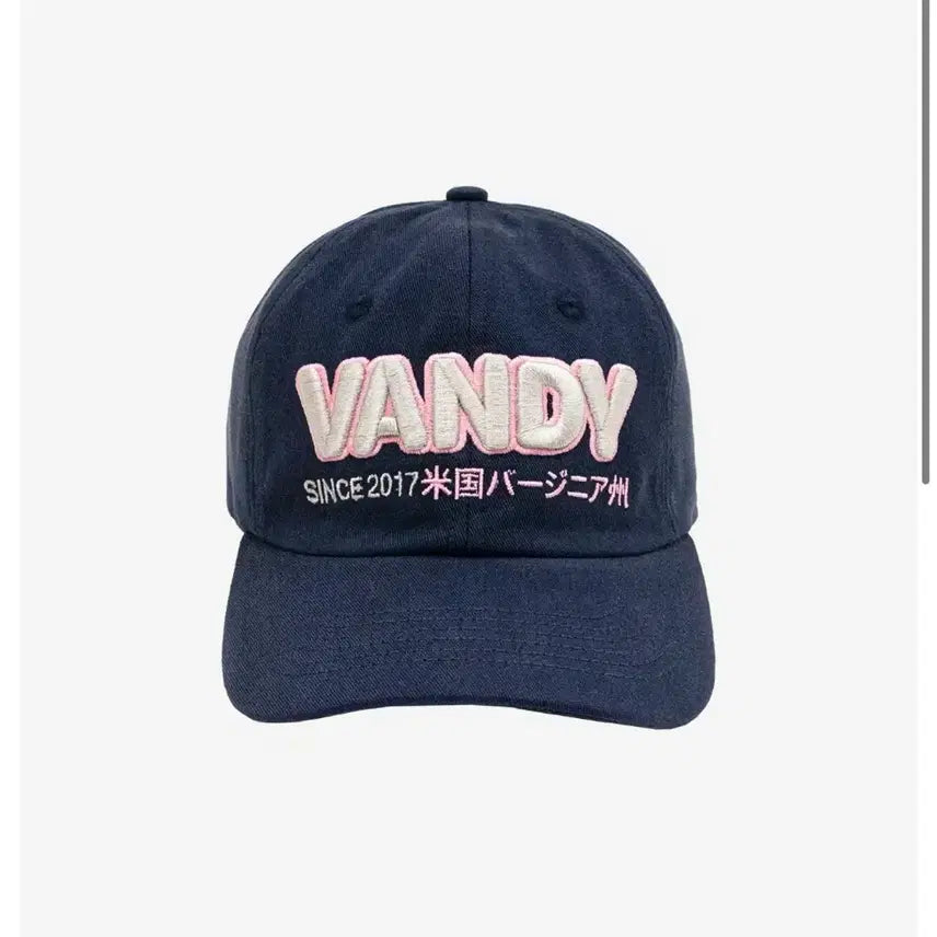 [BUNJANG] Bandithepink Navy Basic Logo Cap / 반디더핑크 네이비 모자 (새상품)
