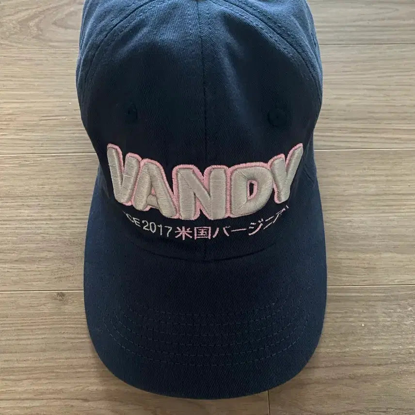 [BUNJANG] Bandithepink Navy Basic Logo Cap / 반디더핑크 네이비 모자 (새상품)