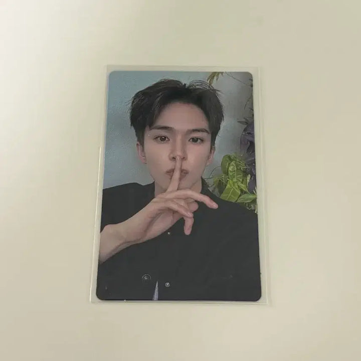 [BUNJANG] 트레저 아사히 포토카드 포카 PLEASURE 위버스 / 트레저 아사히 포토카드 포카 PLEASURE 위버스