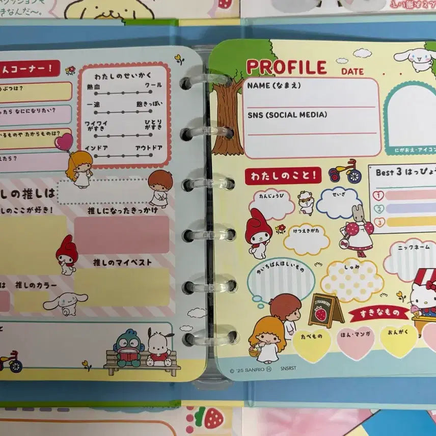[BUNJANG] Sanrio Characters Profile Book Binder / 산리오 캐릭터 프로필 북-바인더