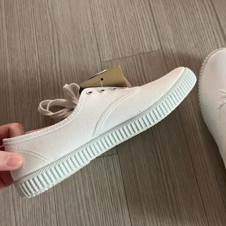 [BUNJANG] Victoria Shoes Chacha Sneakers / (새상품/235) 빅토리아슈즈 챠챠 스니커즈 판매해요