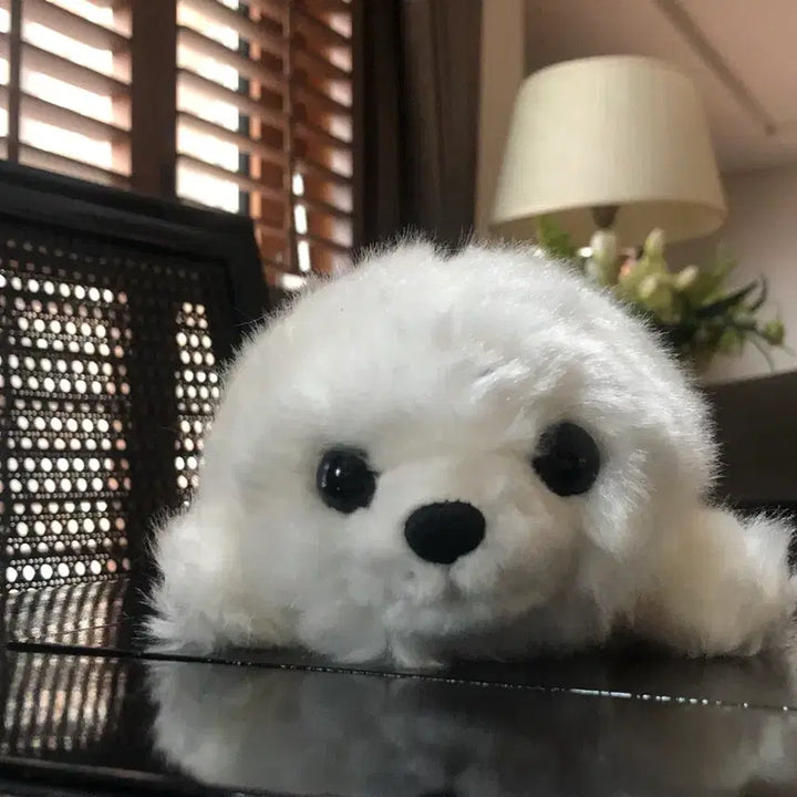 [BUNJANG] 오사카 가이유칸 아쿠아리움 물개 인형 S사이즈 / 오사카 가이유칸 아쿠아리움 물개 인형 S사이즈