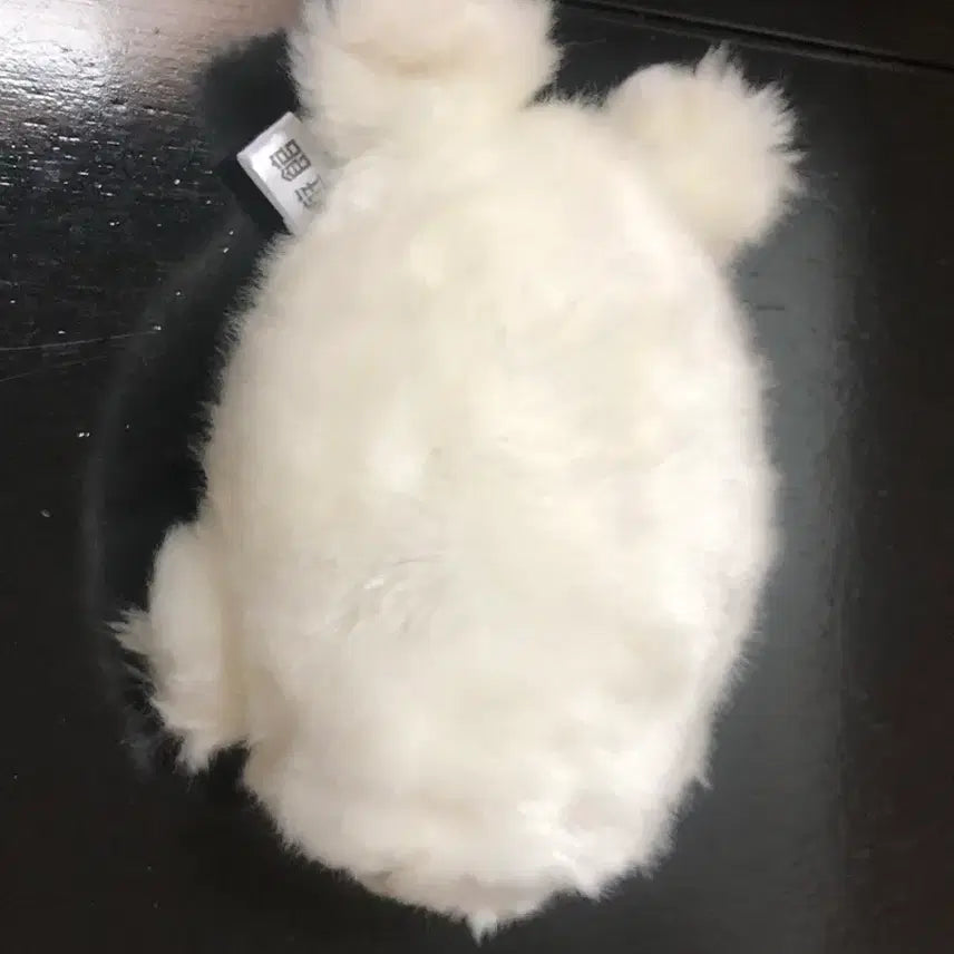 [BUNJANG] 오사카 가이유칸 아쿠아리움 물개 인형 S사이즈 / 오사카 가이유칸 아쿠아리움 물개 인형 S사이즈