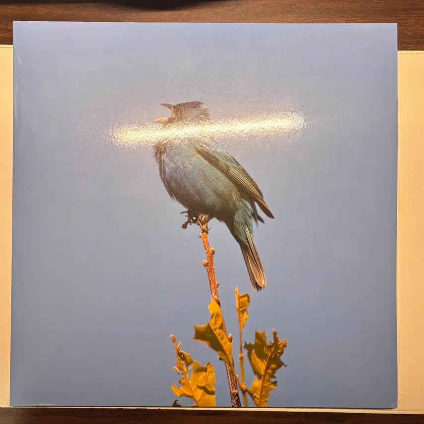 [SOLD OUT] 윤지영 Blue bird LP