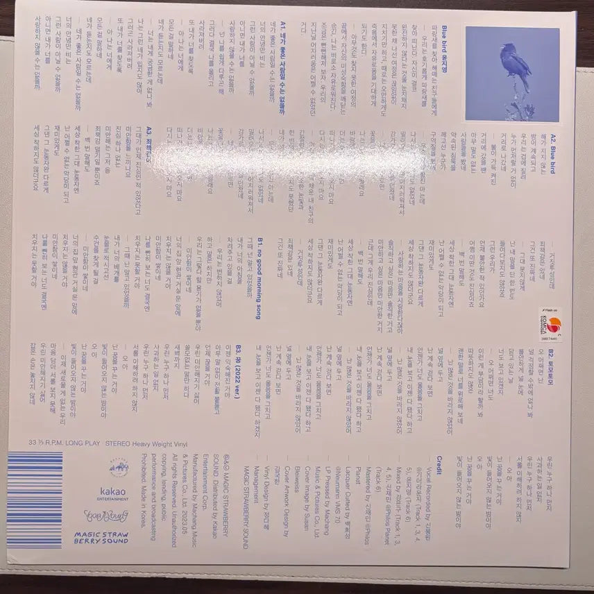 [SOLD OUT] 윤지영 Blue bird LP