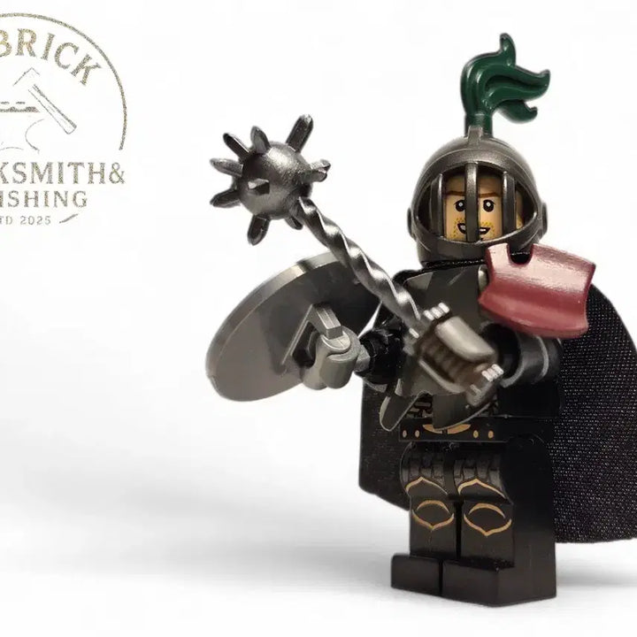 [BUNJANG] LEGO Kingdom Diorama Dragon "Helm Knight" Custom Build / 레고 킹덤 디오라마 드래곤 "헬름기사"