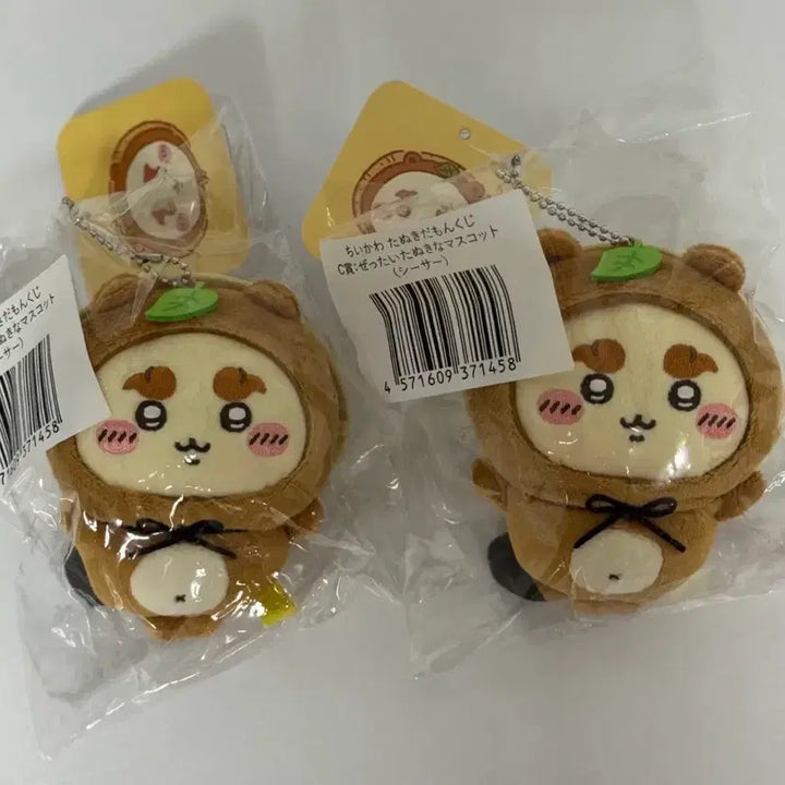 [SOLD OUT] 너구리 쿠지 치이카와 쿠지 c상 너구리 시사