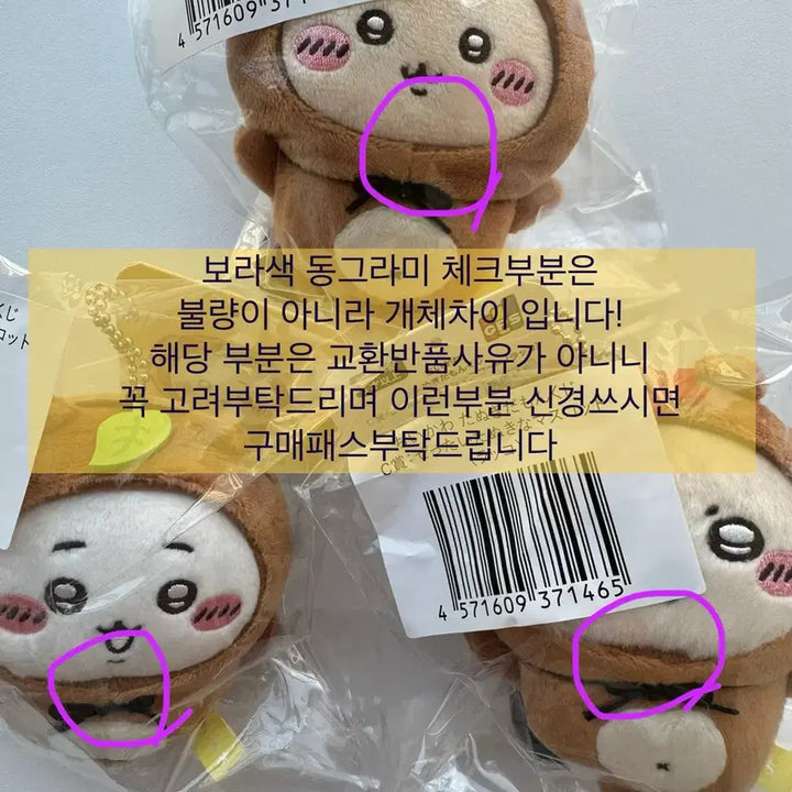 [SOLD OUT] 너구리 쿠지 치이카와 쿠지 c상 너구리 시사