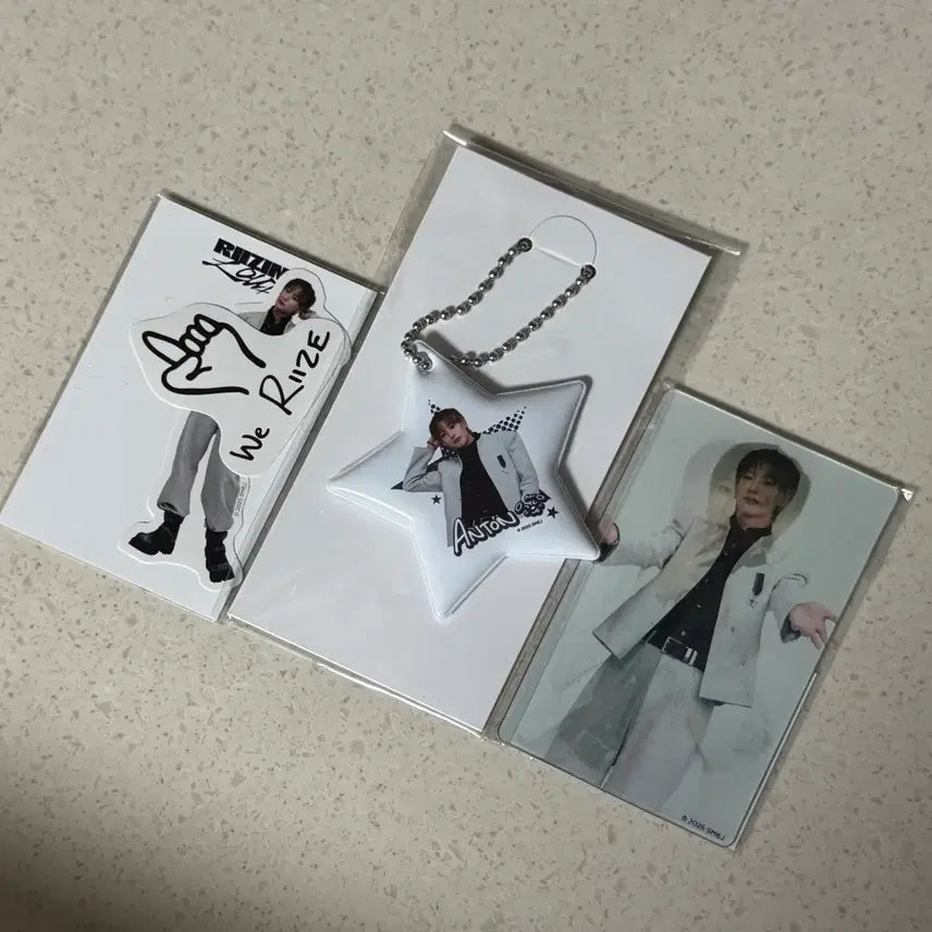 [SOLD OUT] 라이즈 일본 랜덤토이 앤톤 일괄