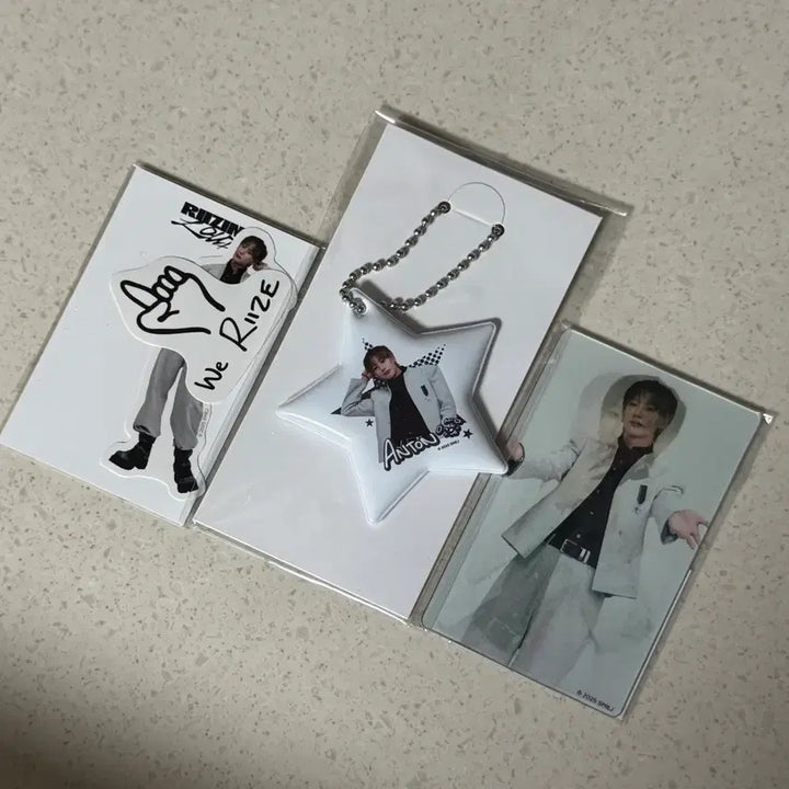 [SOLD OUT] 라이즈 일본 랜덤토이 앤톤 일괄