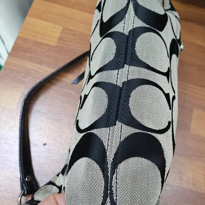[BUNJANG] Coach Signature Hobo Bag Black Shoulder Bag / 코치 시그니처 호보백 블랙 숄더백
