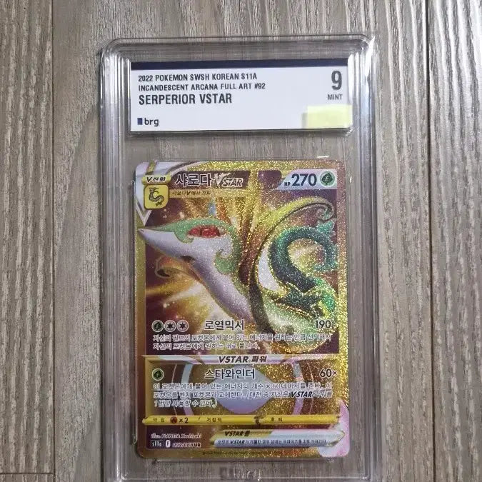 [SOLD OUT] 샤로다 VSTAR ur (BRG9)