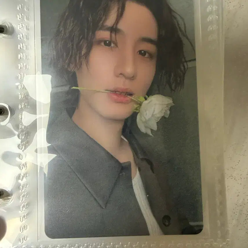 [BUNJANG] BOYNEXTDOOR Leehan Photocard Bundle Set / 이한 포카 일괄로만 판매