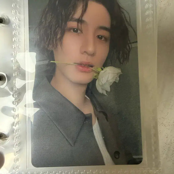 [BUNJANG] BOYNEXTDOOR Leehan Photocard Bundle Set / 이한 포카 일괄로만 판매