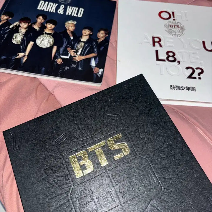 [BUNJANG] BTS Album (CD Not Included) / 방탄소년단 앨범(CD미포함)